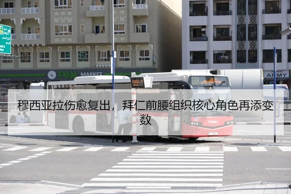 mu-xi-ya-la-shang-yu-fu-chu-bai-ren-qian-yao-zu-zhi-he-xin-jue-se-zai-tian-bian-shu-3-523.jpg